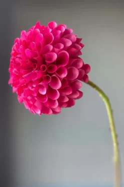 Pip Fleurs Artificielles Sweet Symphony