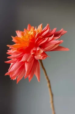 Pip Fleurs Artificielles Sweet Symphony